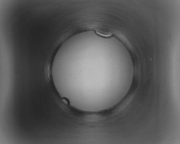 X0000100770397200807031214