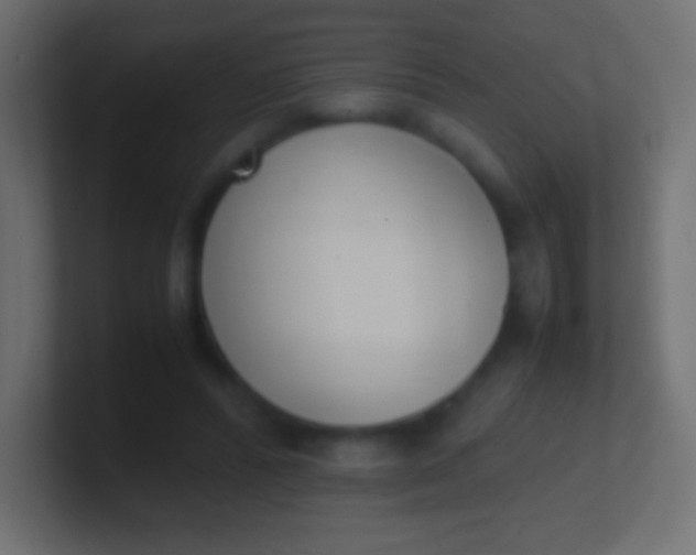 X0000100770400200807031214