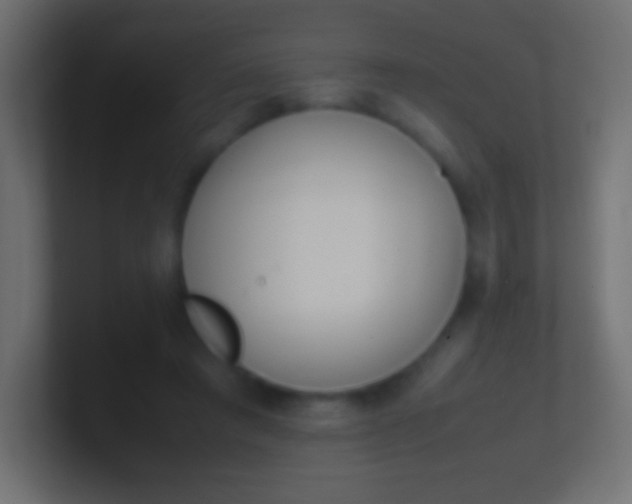X0000100770401200807031214
