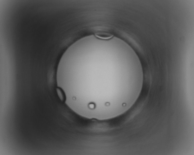 X0000100770403200807031214
