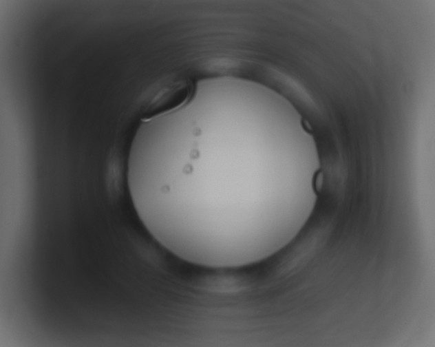 X0000100770404200807031214