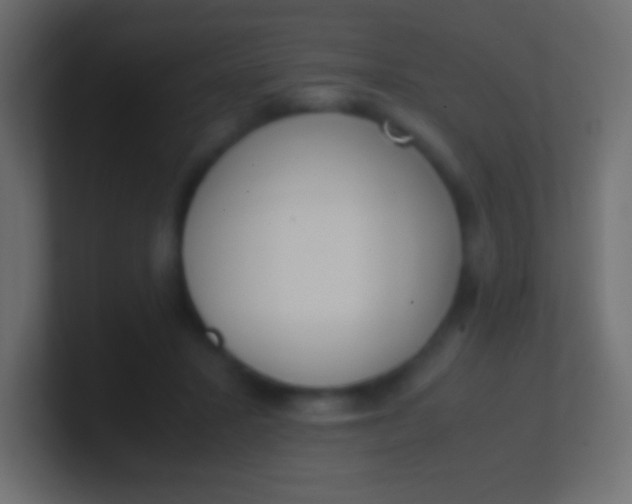 X0000100770407200807031214