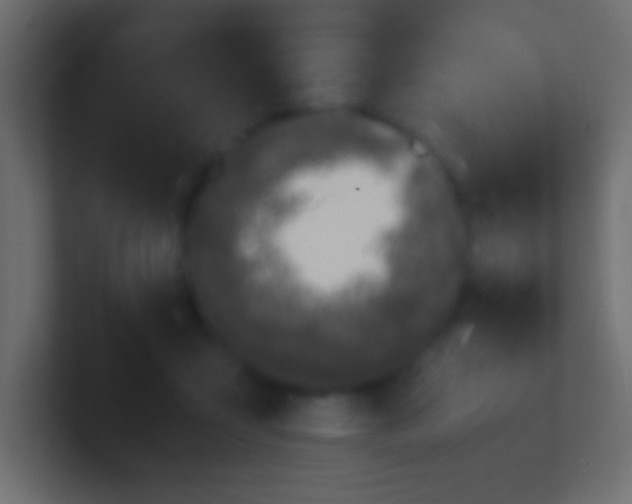 X0000100770411200807031214