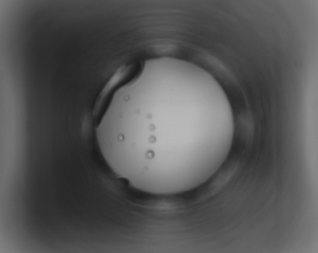 X0000100770412200807031214