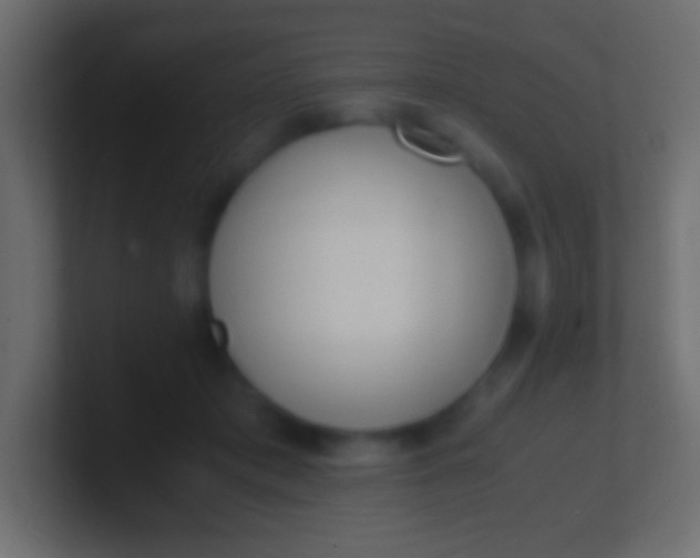 X0000100770413200807031214