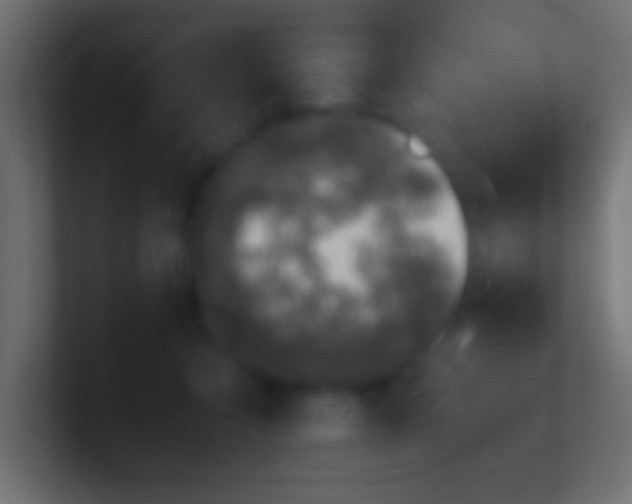 X0000100770415200807031214