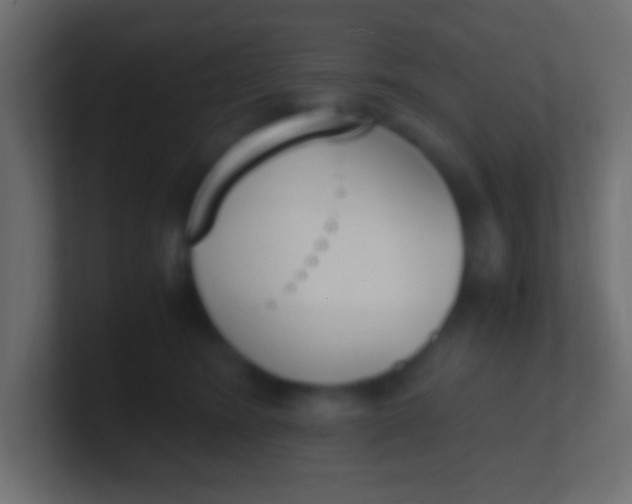 X0000100770420200807031214