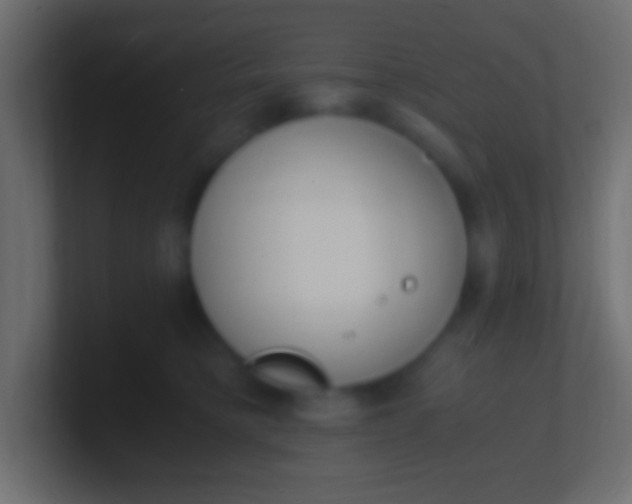 X0000100770421200807031214