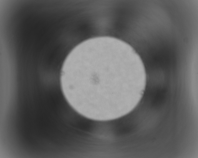 X0000100770423200807031214