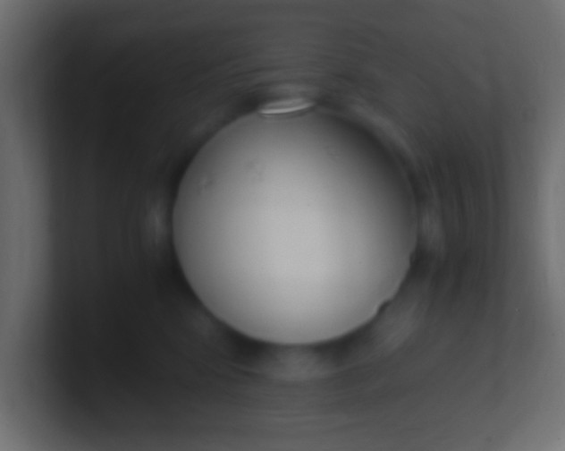 X0000100770424200807031214
