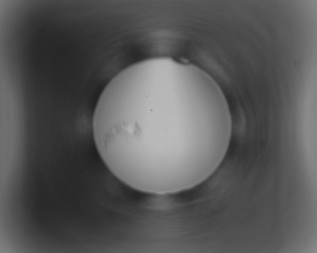 X0000100770425200807031214
