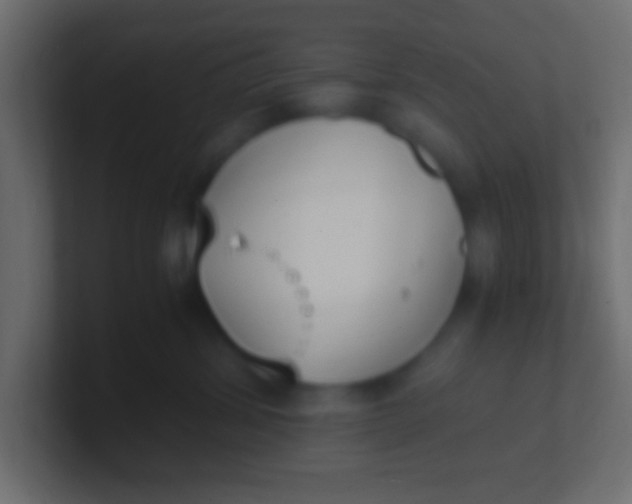 X0000100770428200807031214