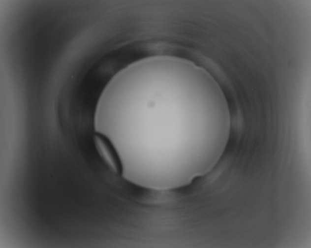 X0000100770429200807031214