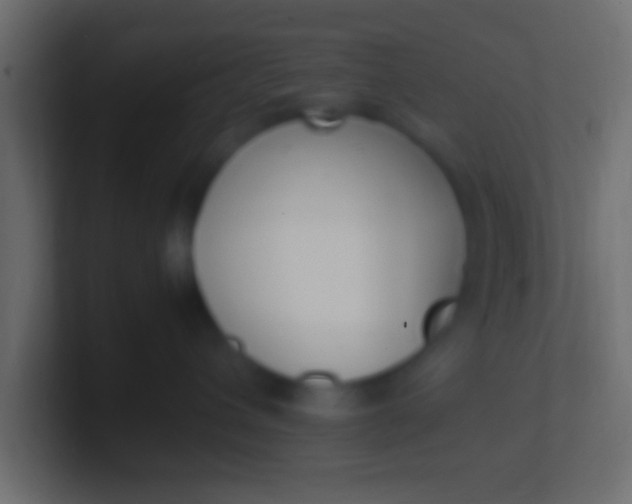 X0000100770432200807031214