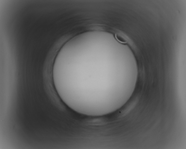 X0000100770433200807031213
