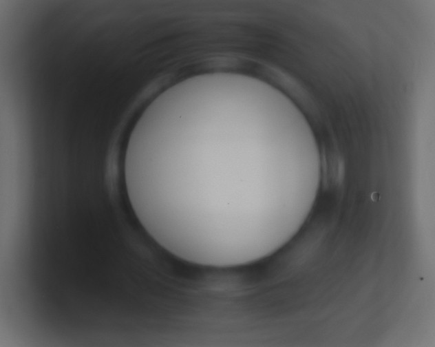X0000100770435200807031213