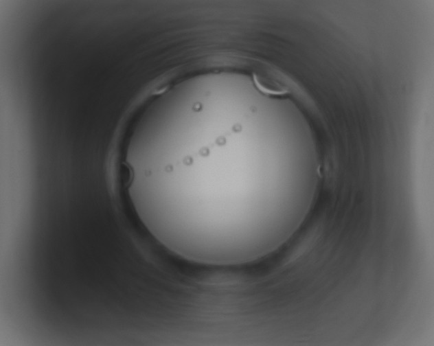 X0000100770436200807031213