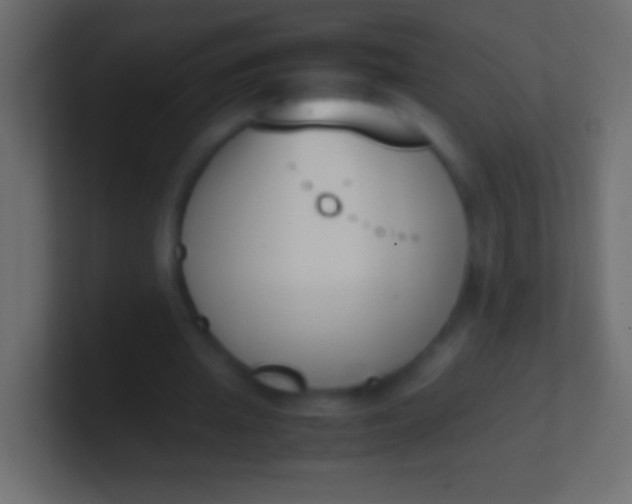 X0000100770437200807031213