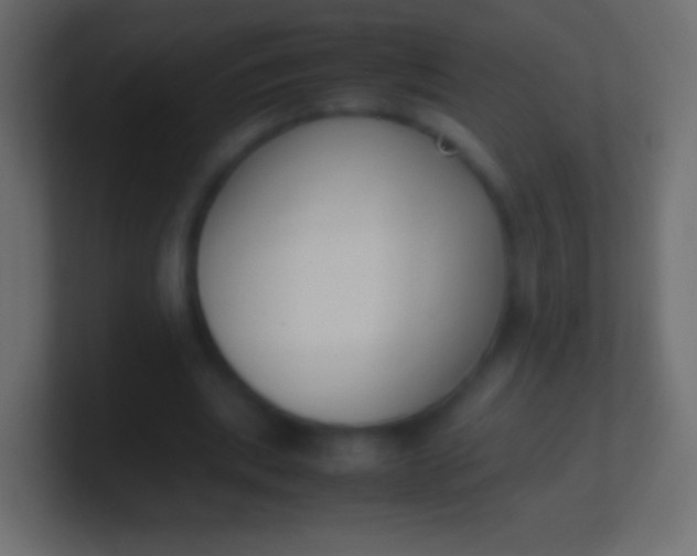 X0000100770439200807031213