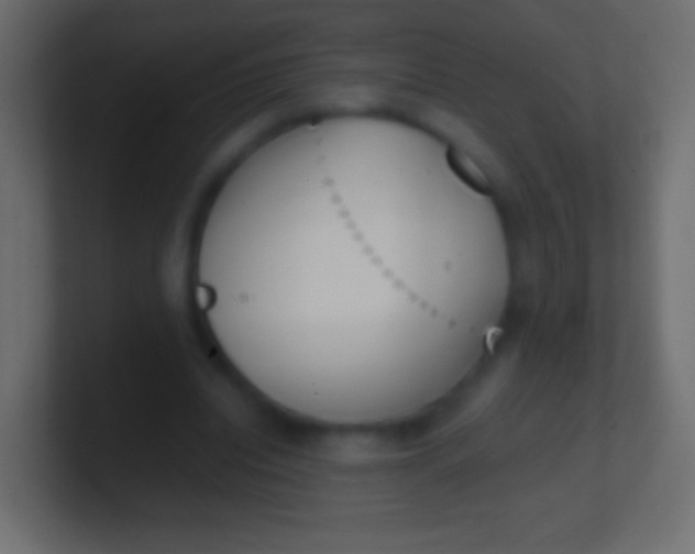 X0000100770440200807031213