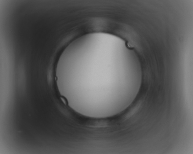X0000100770443200807031213