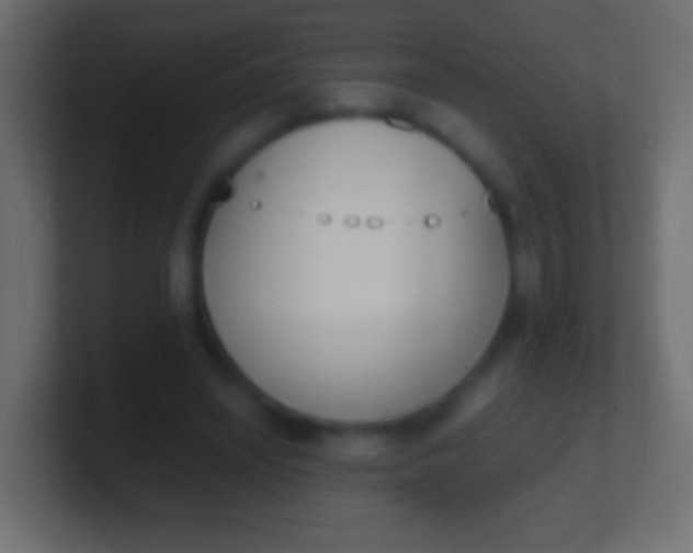 X0000100770444200807031213
