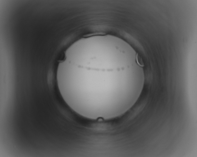 X0000100770448200807031214