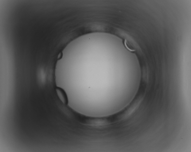 X0000100770449200807031214