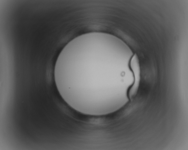 X0000100770450200807031214