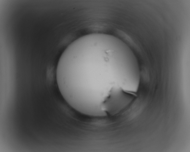 X0000100770458200807031214