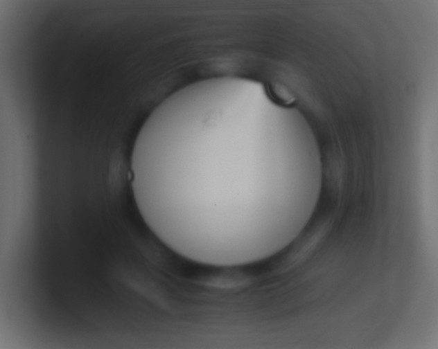 X0000100770459200807031214