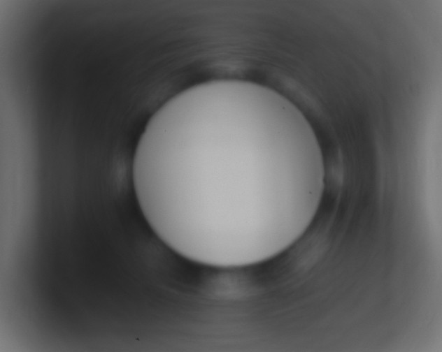 X0000100770468200807031214
