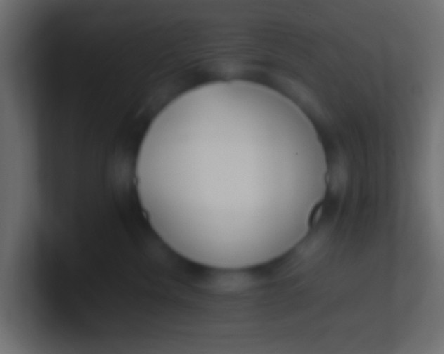 X0000100770476200807031214