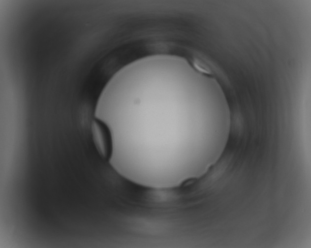X0000100770477200807031214