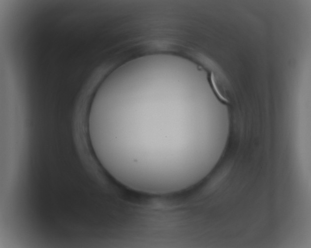 X0000100770481200807031213