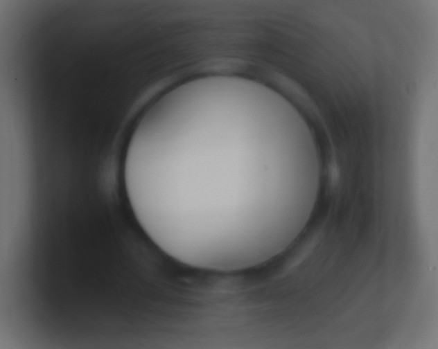 X0000100770484200807031213