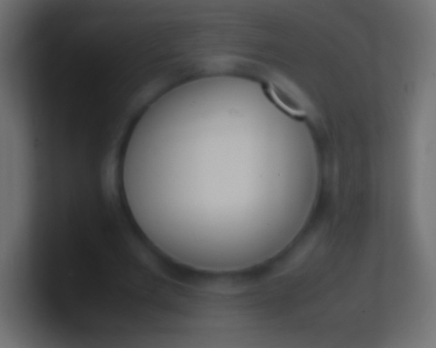 X0000100770485200807031213