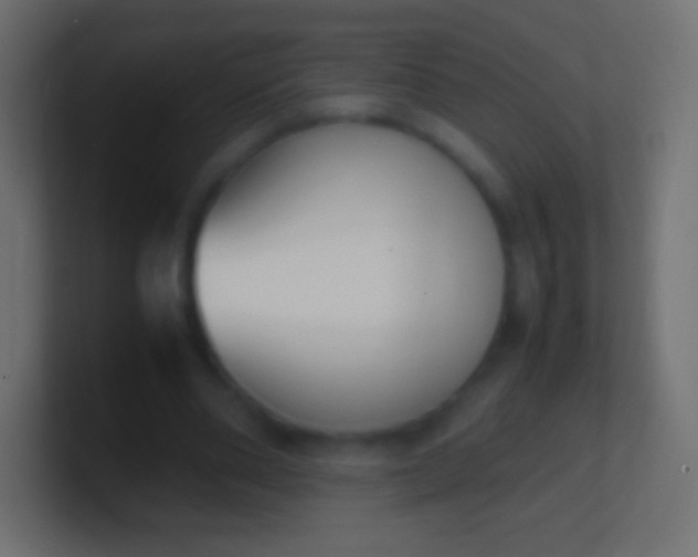 X0000100770486200807031213