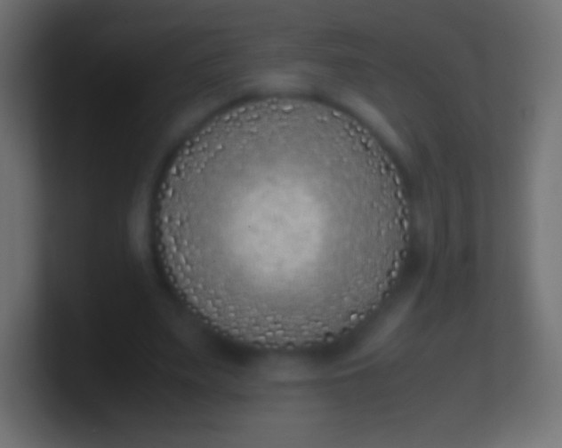 X0000100770487200807031213