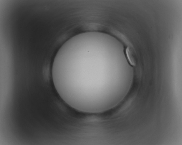X0000100770489200807031213