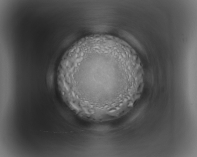 X0000100770491200807031213