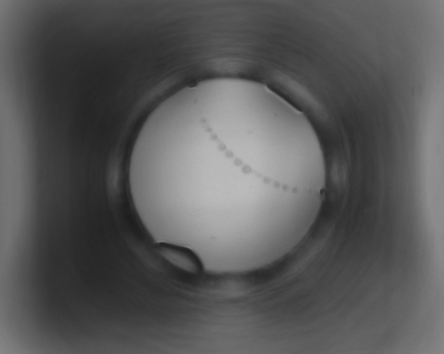 X0000100770492200807031213