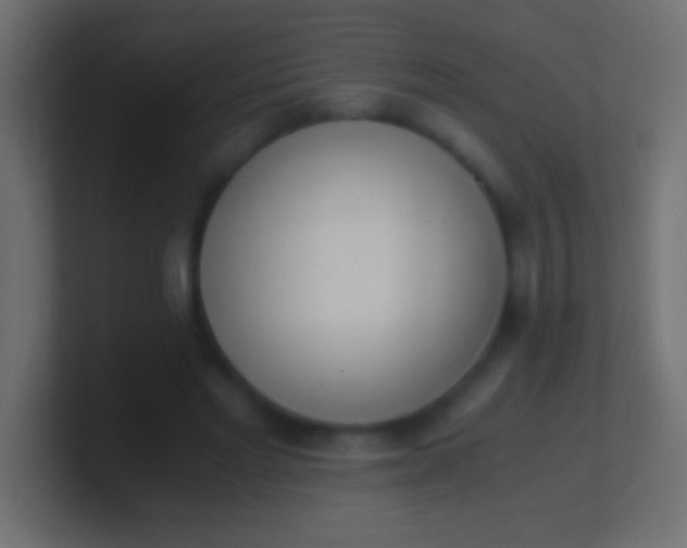 X0000100770493200807031213