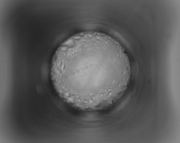 X0000100770495200807031213