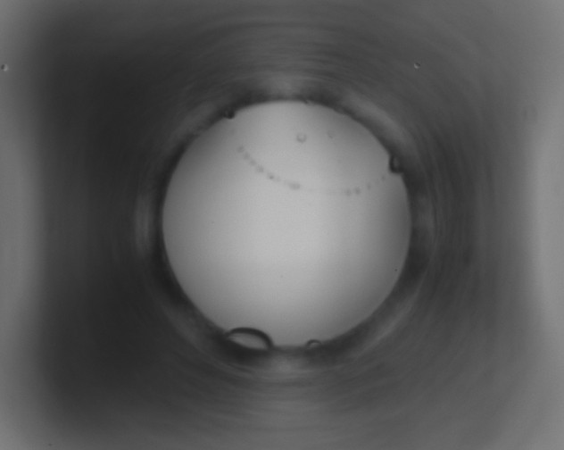 X0000100770496200807031213