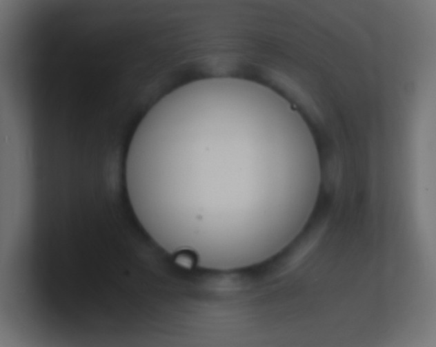 X0000100770497200807031213