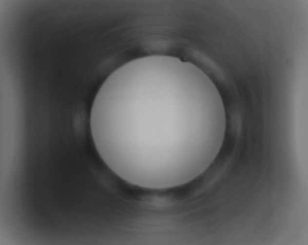 X0000100770498200807031213