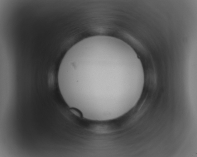 X0000100770500200807031213