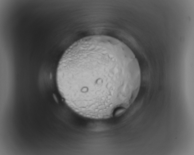 X0000100770503200807031213
