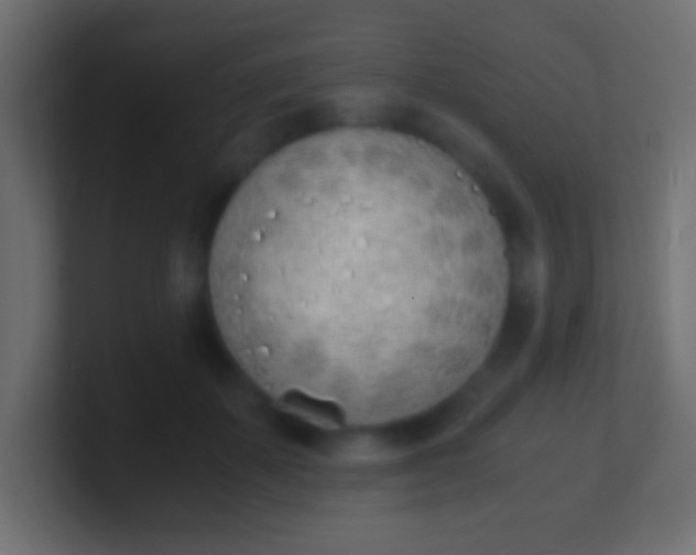 X0000100770507200807031213